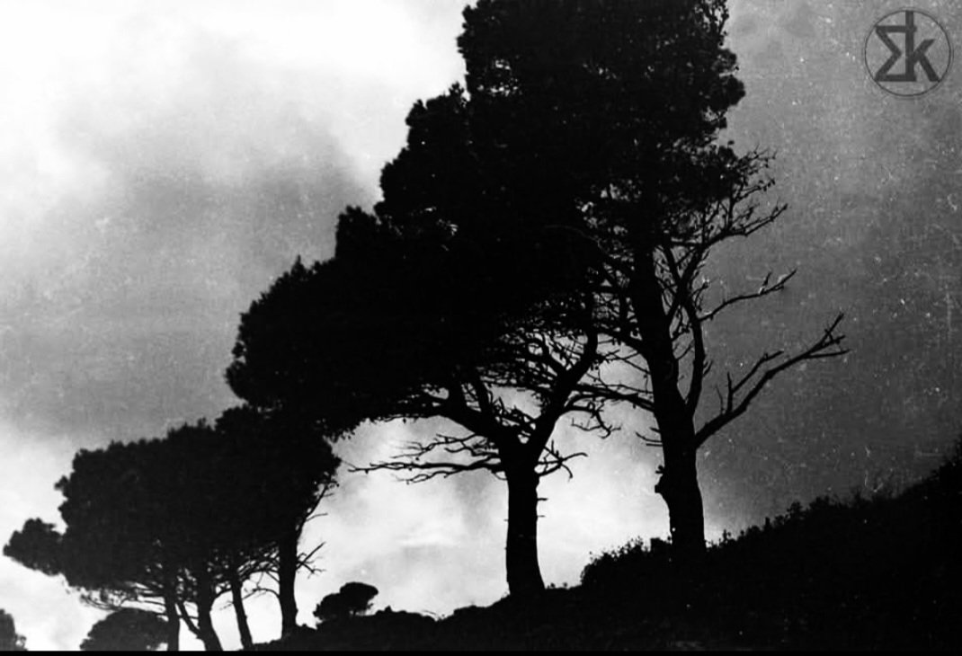 Στο ίδιο έργο θεατές!
#fire #greece
#φωτιά #burnforests