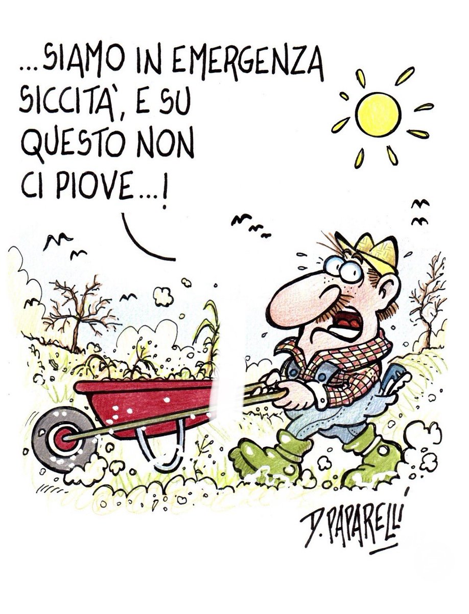 danilopaparelli's tweet image. Come ogni #anno, ecco #ripresentarsi il #grave #problema delle #siccità …