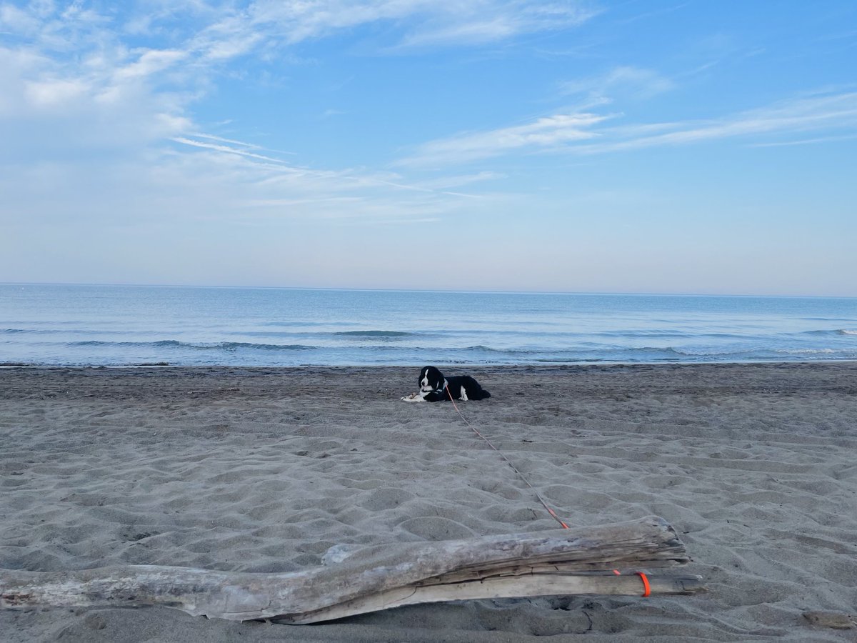 Alle 7 del mattino ci sono già 25 gradi☀️
