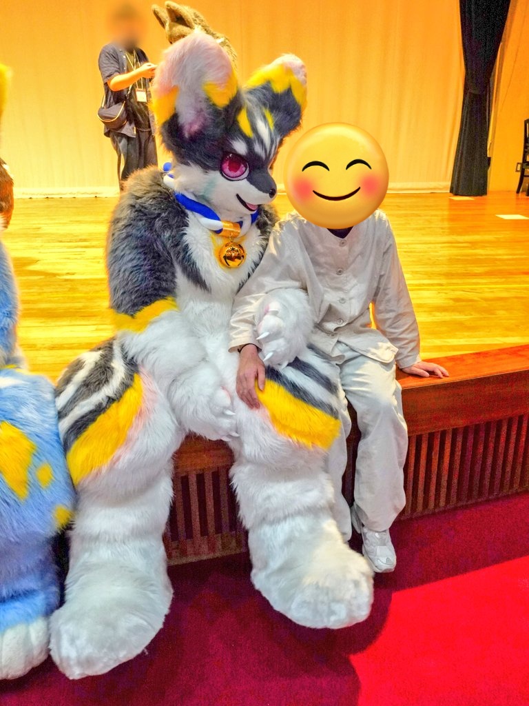 こういう風景…いいよね🐈️✨️
#ミニもふ20 
#ミニもふ20夏の陣