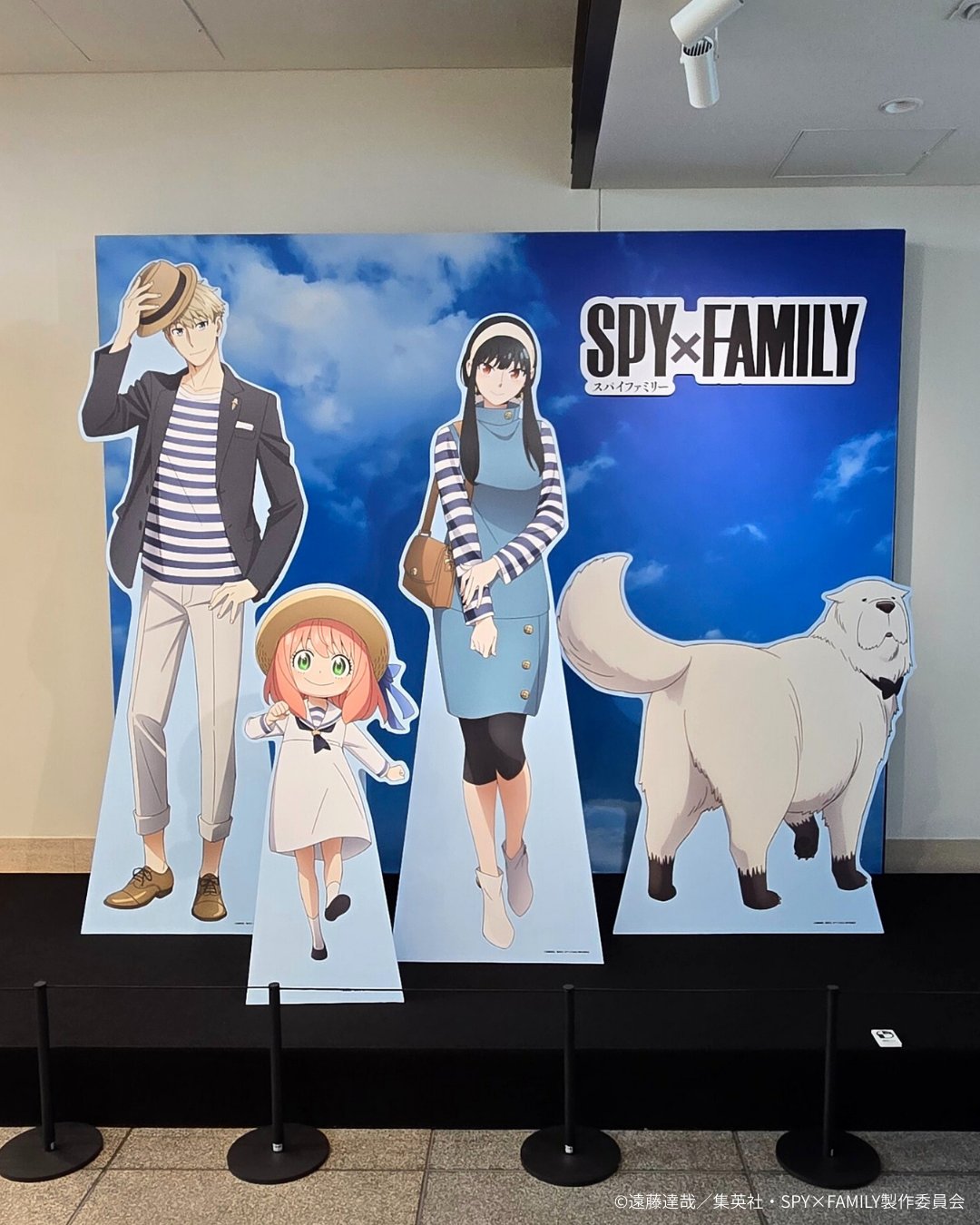 ★SPY×FAMILY 額装高精細デジタルカラー SPY×FAMILY』額装高精細デジタルカラー
