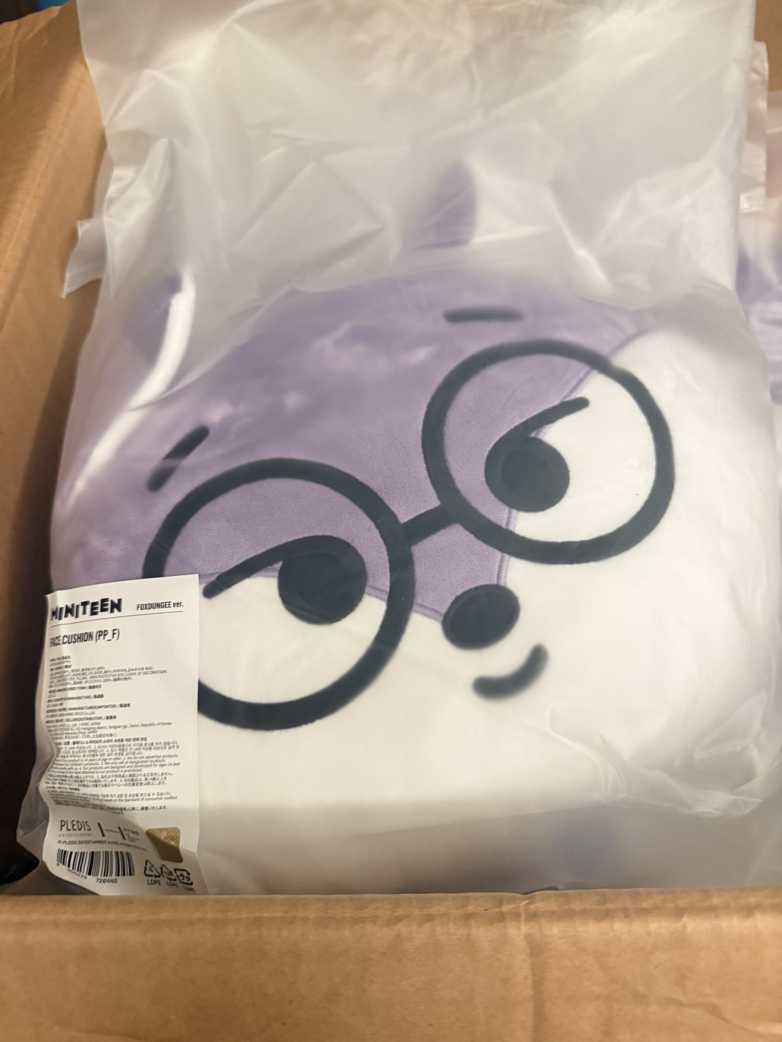 SEVENTEEN】MINITEEN ブランケット クッション ウォヌ SEVENTEEN