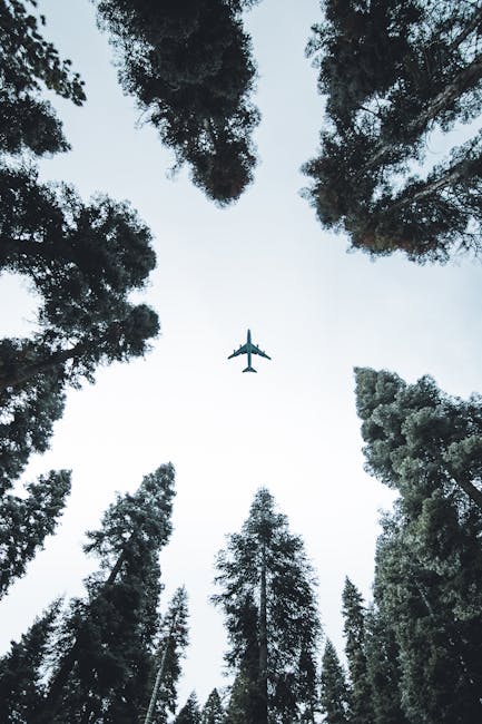 HydrocarbonProc's tweet photo. #Argentina's #YPF to invest $400 MM in #sustainable #jetfuel venture

read about the #project: https://t.co/md7g0amPS6 

#SAF #biofuels  #ArgentinaEnergy #SustainableFuel #BiofuelsInvestment #SustainableAviation #YPFProjects https://t.co/7Ch3tiw4Aw
