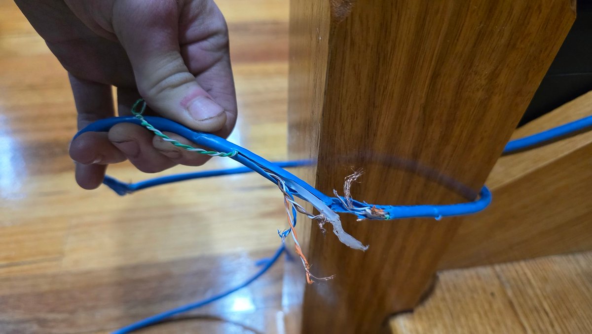 Uniiquity's tweet photo. So.. my brother dumped his dog at my house while hes in thailand and his dog chewed through my ethernet cable, which then short circuited the ethernet port on my motherboard 😎 https://t.co/KubgI4YxK6