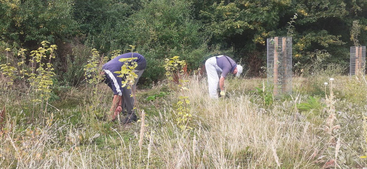fruitnutvillage's tweet photo. Working hard at #SouthernDriveForestGarden #Monyhull yesterday. #GrowTheVillage #FruitAndNutVillage #DruidsHeath https://t.co/83xTHaXcGj