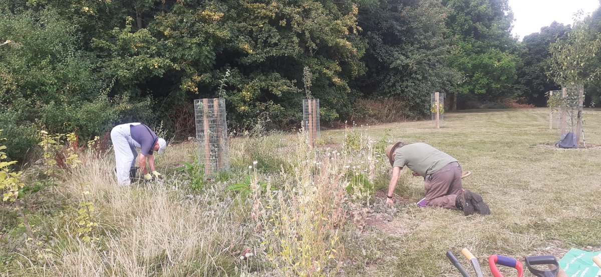 fruitnutvillage's tweet photo. Working hard at #SouthernDriveForestGarden #Monyhull yesterday. #GrowTheVillage #FruitAndNutVillage #DruidsHeath https://t.co/83xTHaXcGj