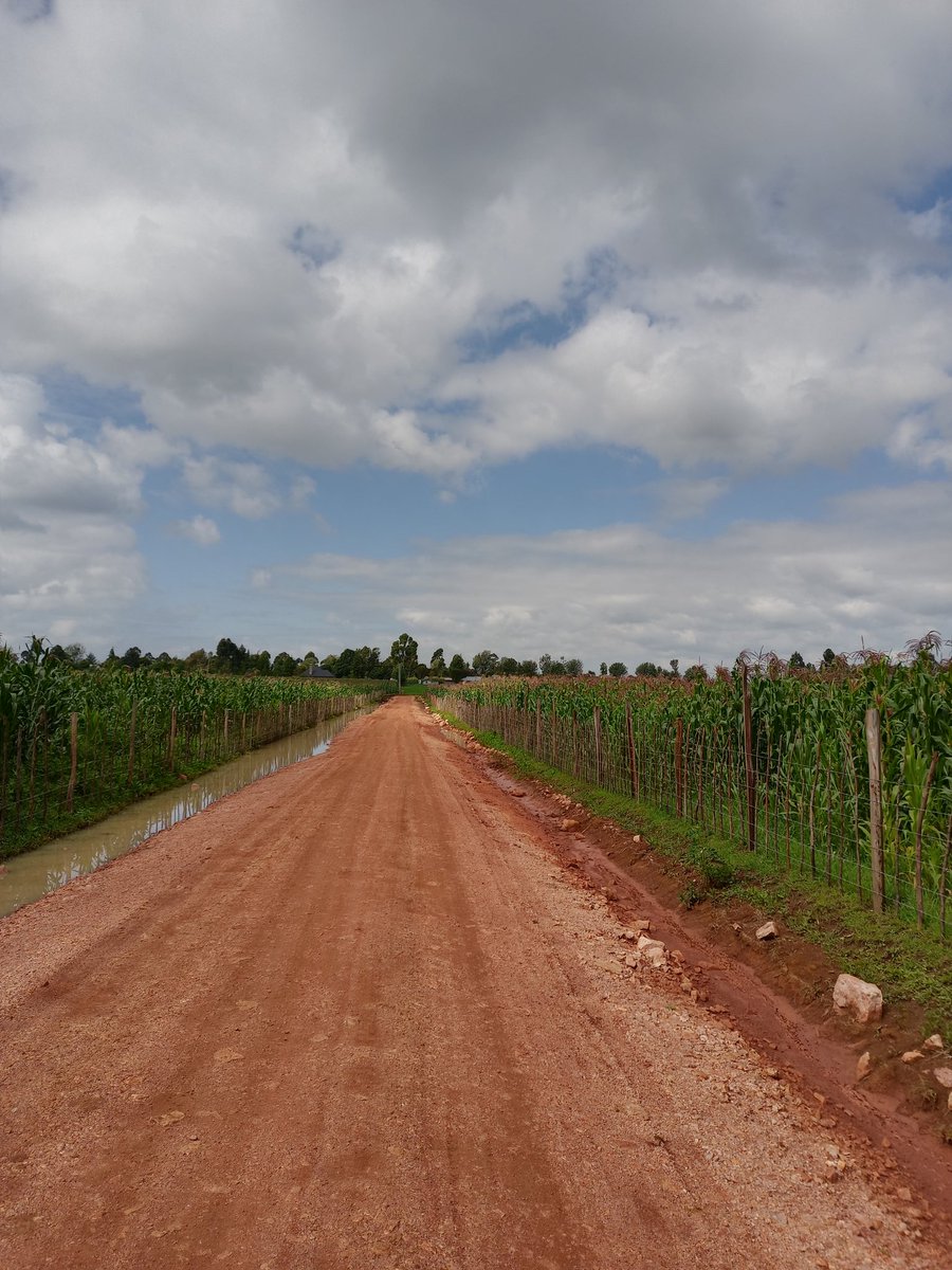 itsKoech_'s tweet image. Nothing beats beautiful village roads early in the morning 📸😍
