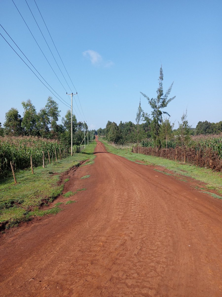 itsKoech_'s tweet image. Nothing beats beautiful village roads early in the morning 📸😍