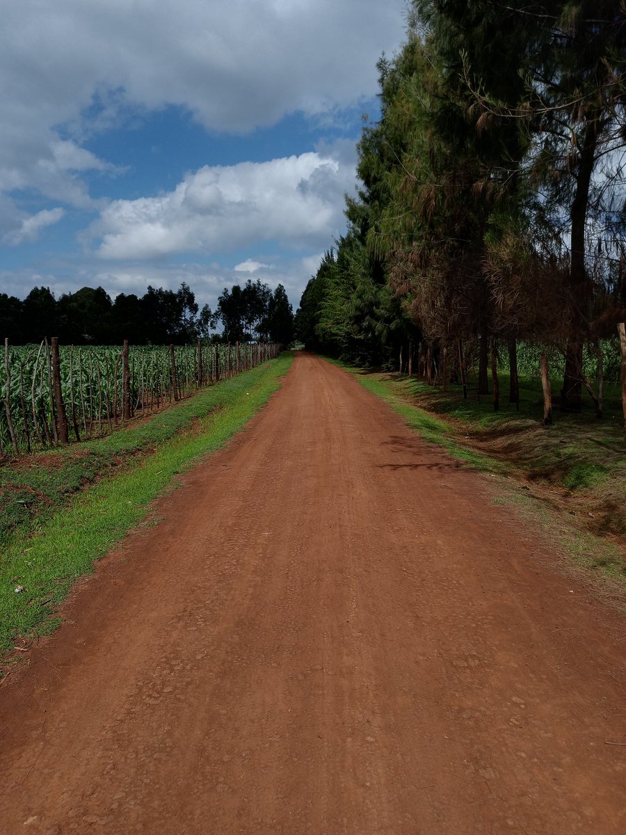 itsKoech_'s tweet image. Nothing beats beautiful village roads early in the morning 📸😍