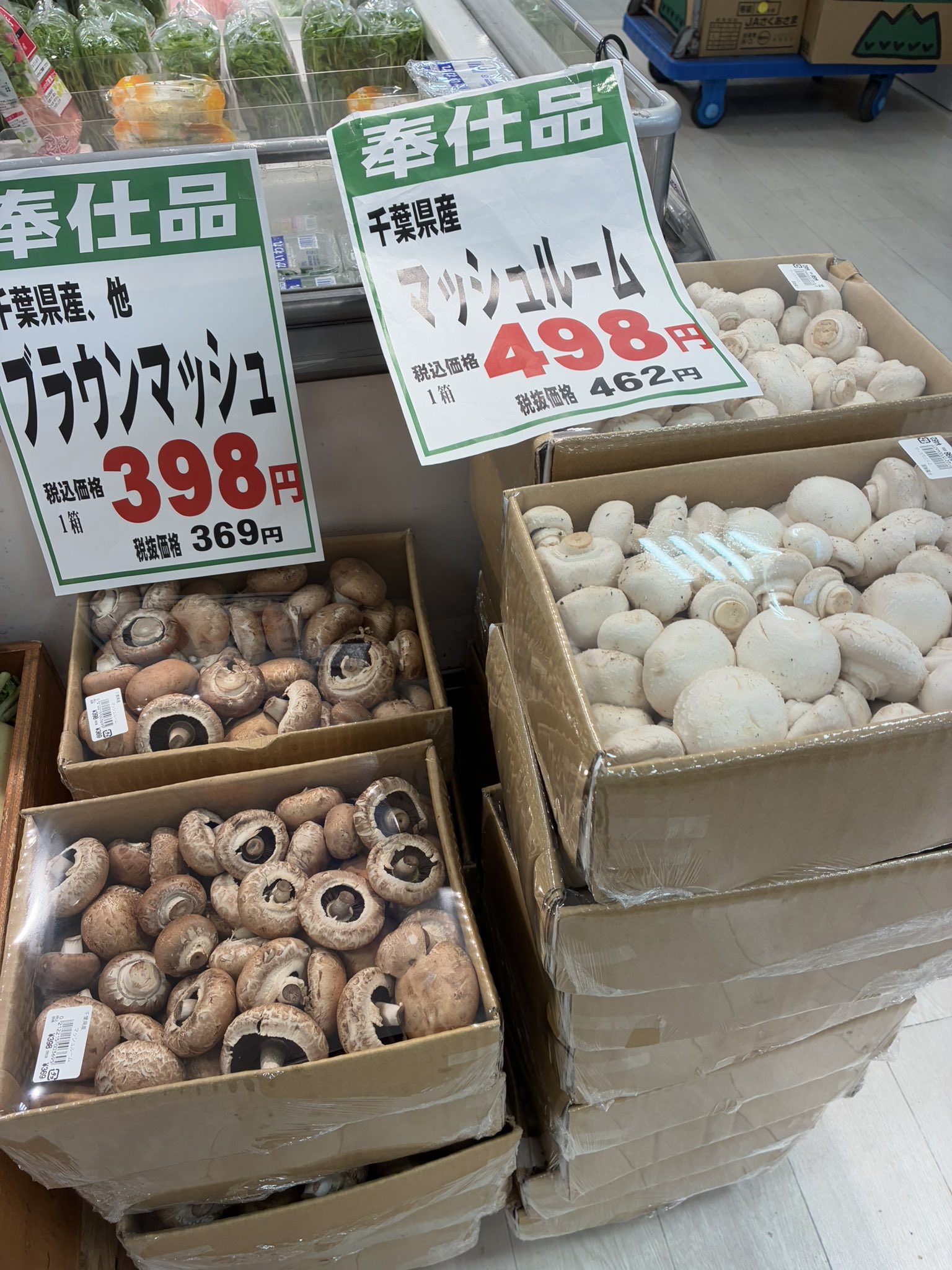 マッシュルーム 吉池 on X: 