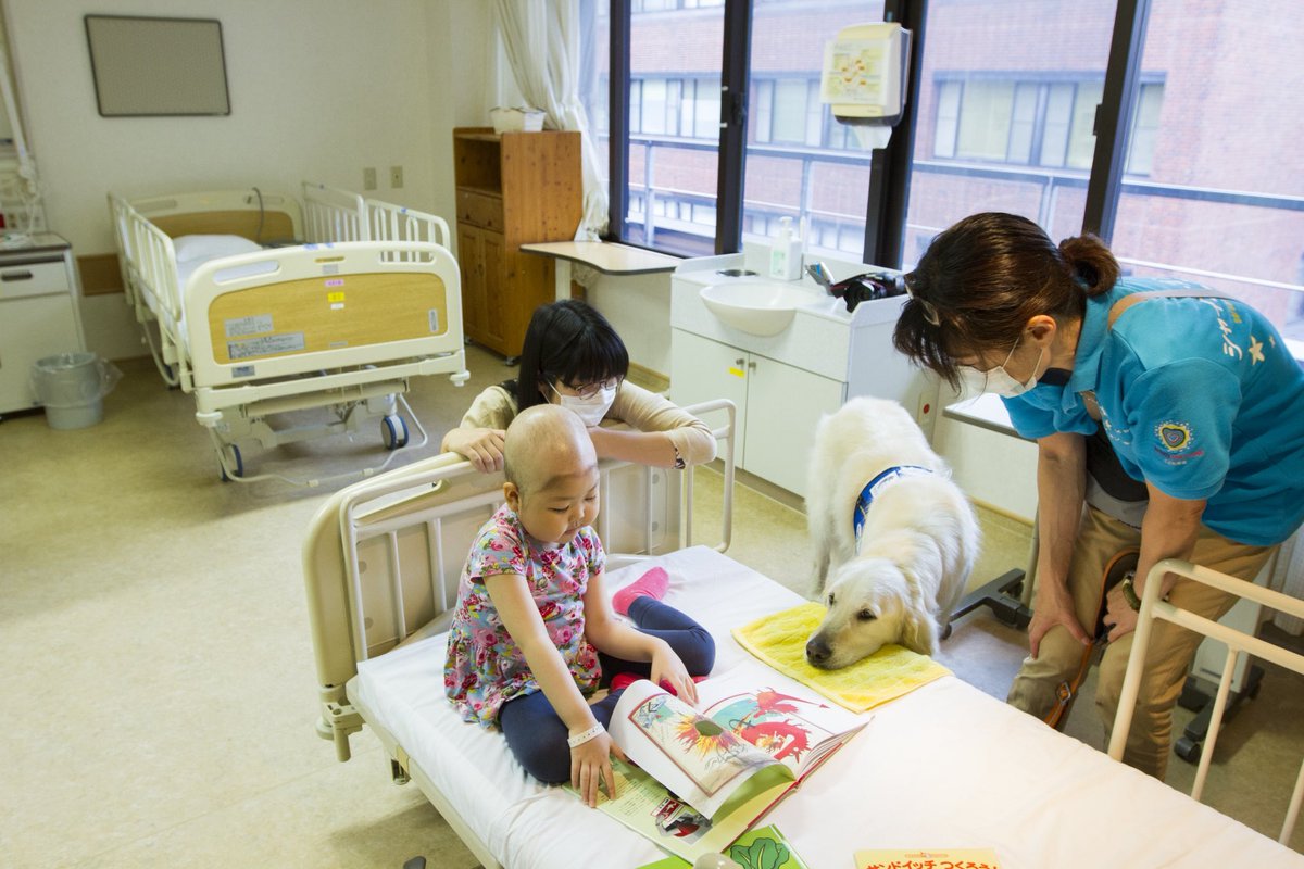 本日は大切なお知らせがあります。 静岡県立こども病院でファシリティドッグとして活躍したヨギが虹の橋を渡りました。引退後は穏やかな犬生を送っていましたが、8月10日に14歳の生涯を閉じました。皆様からの温かいご支援をいただき、引退後も充実した日々を送れたことに深く感謝申し上げます。