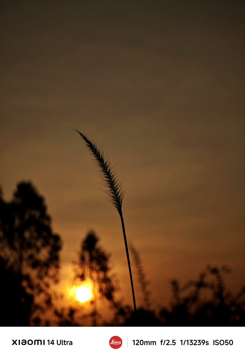 AKASH (@iam_07akash) on Twitter photo Nature in All Forms! #XiaomixLeica #ShotOnSnapdragon #Xiaomicaptured
<a href="/leijun/">Lei Jun</a> <a href="/s_anuj/">Anuj Sharma</a> <a href="/sandeep9sarma/">Sandeep Sarma</a> <a href="/Xiaomi/">Xiaomi</a> <a href="/Snapdragon_IN/">Snapdragon India</a> Nature in All Forms! #XiaomixLeica #ShotOnSnapdragon #Xiaomicaptured
<a href="/leijun/">Lei Jun</a> <a href="/s_anuj/">Anuj Sharma</a> <a href="/sandeep9sarma/">Sandeep Sarma</a> <a href="/Xiaomi/">Xiaomi</a> <a href="/Snapdragon_IN/">Snapdragon India</a>
