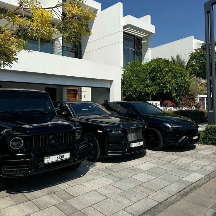 In every bull run, there’s that one asset everyone wishes they bought more of during the dip.
Right now, for $Willy, this could be that moment.

I chose some cars cause know that $willy is a retirement play