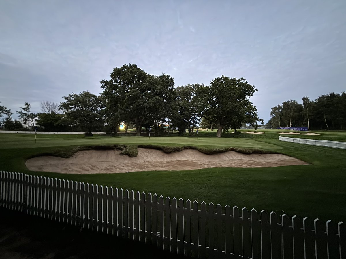 Nath Davis tweet media