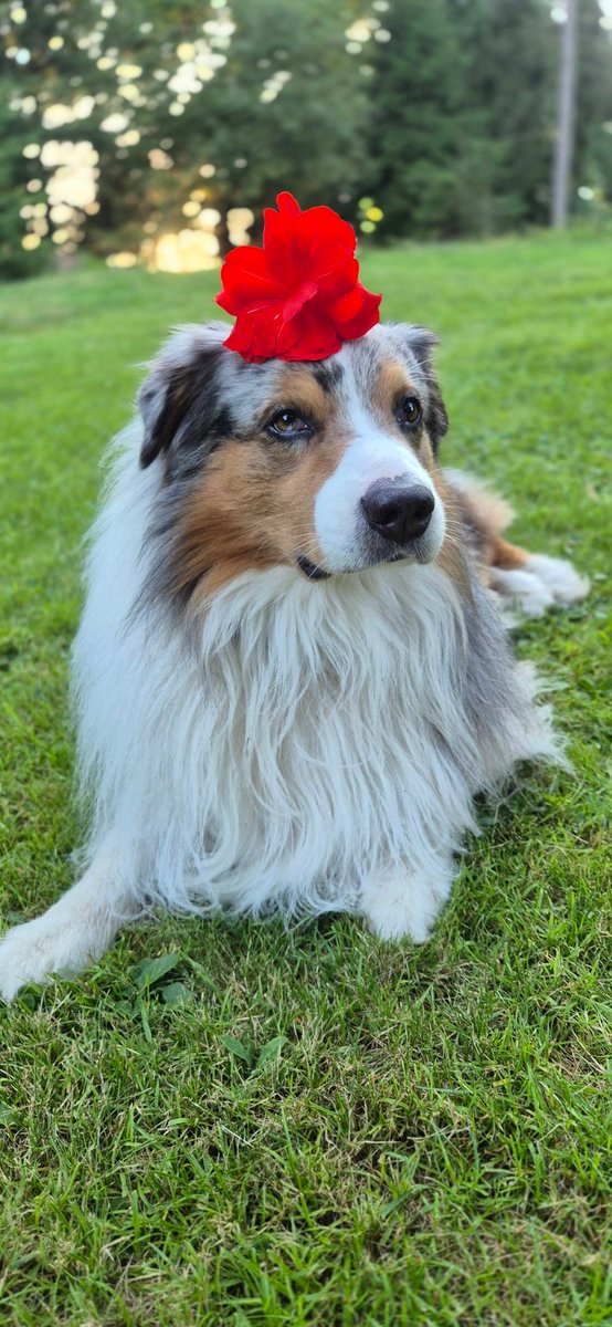 Lucie Amálka 🌸 tweet media