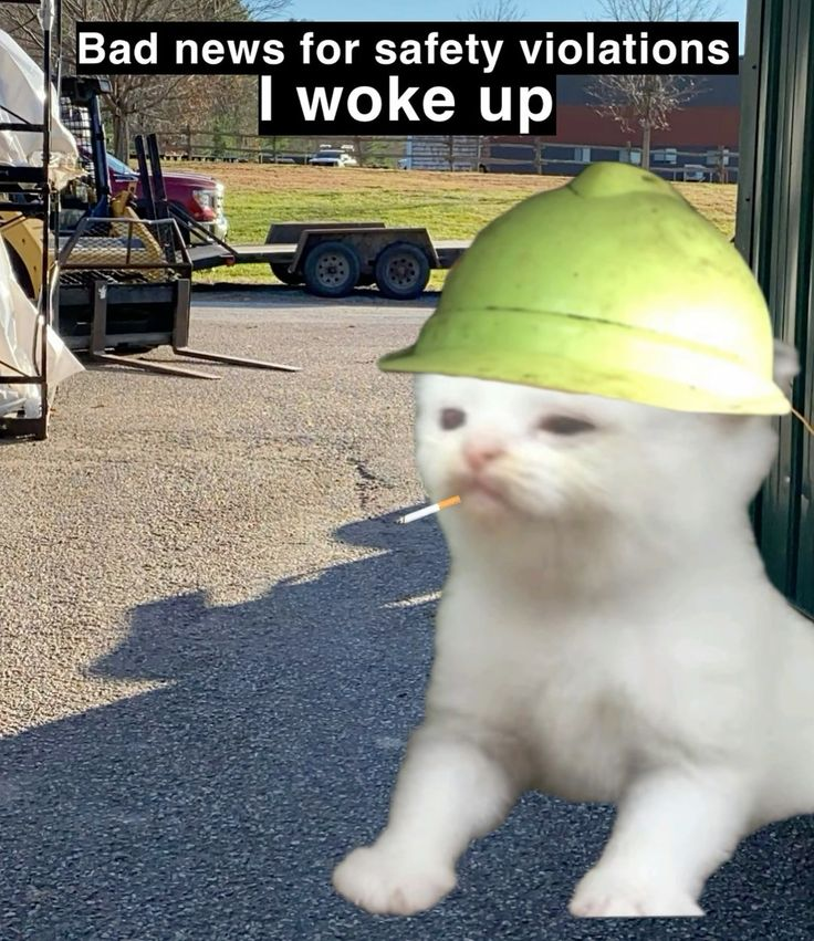 avgreplyguy tweet media