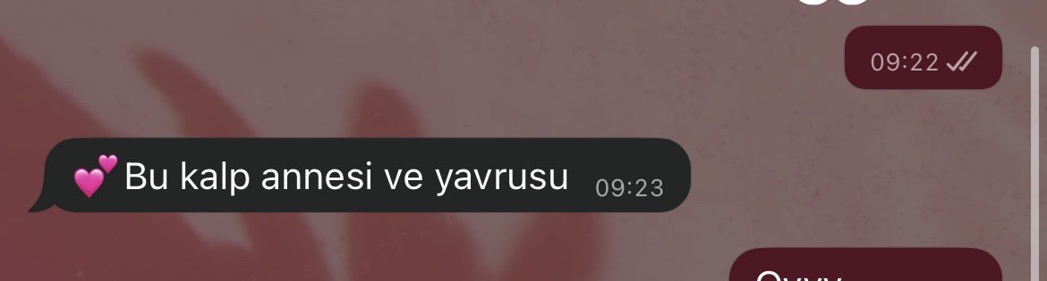 annemin mesajına bakın 🫠🥹💕
