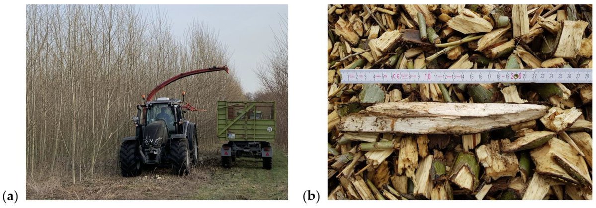 Resources MDPI (@resources_mdpi) on Twitter photo 🥳 Highly cited article;
"Effects of Feeding Speed and Temperature on Properties of #Briquettes from Poplar Wood Using a Hydraulic Briquetting Press" by Joseph I. Orisaleye et al.
<a href="/UnilagNigeria/">University of Lagos</a>
📷 Read more: brnw.ch/21wURZA 🥳 Highly cited article;
"Effects of Feeding Speed and Temperature on Properties of #Briquettes from Poplar Wood Using a Hydraulic Briquetting Press" by Joseph I. Orisaleye et al.
<a href="/UnilagNigeria/">University of Lagos</a>
📷 Read more: brnw.ch/21wURZA