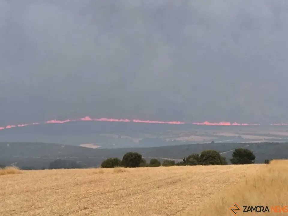 Los incendios de Molezuelas y Puercas arrasan ya cerca de 25.000 hectáreas y amenazan con seguir creciendo
zamoranews.com/articulo/suces…