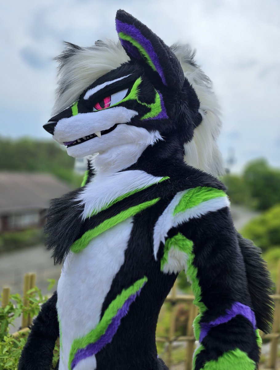 🍃
 #国際オオカミの日