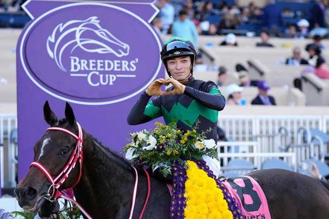 anime　　　　　　　　real life