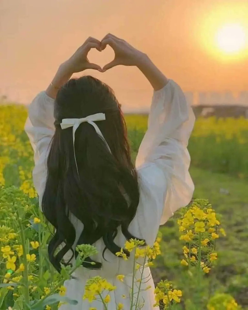 Lin Somnia tweet media