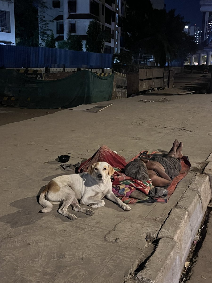 <a href="/thedelhiwalla/">mayank austen soofi—InshaJoyce</a> A similar one here. I see so many of them. This person doesn’t have a home, but he does have a heart. This is on Western Express Highway, Mumbai. 
And of course, for so many homeless humans, SC doesn’t have time to try to provide them shelter. 
Kalyug, my friend, Kalyug. Our