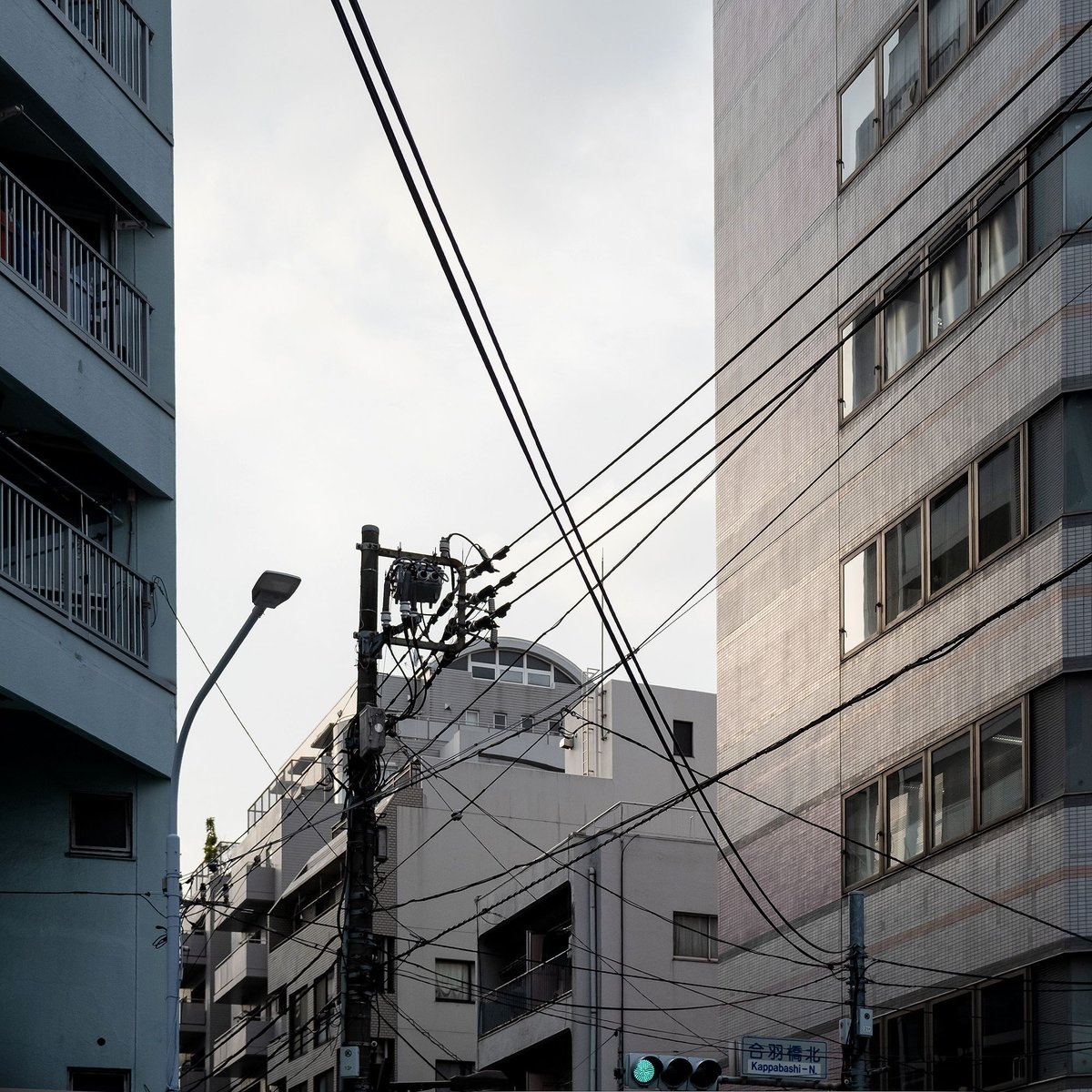 Lewis Bush tweet media