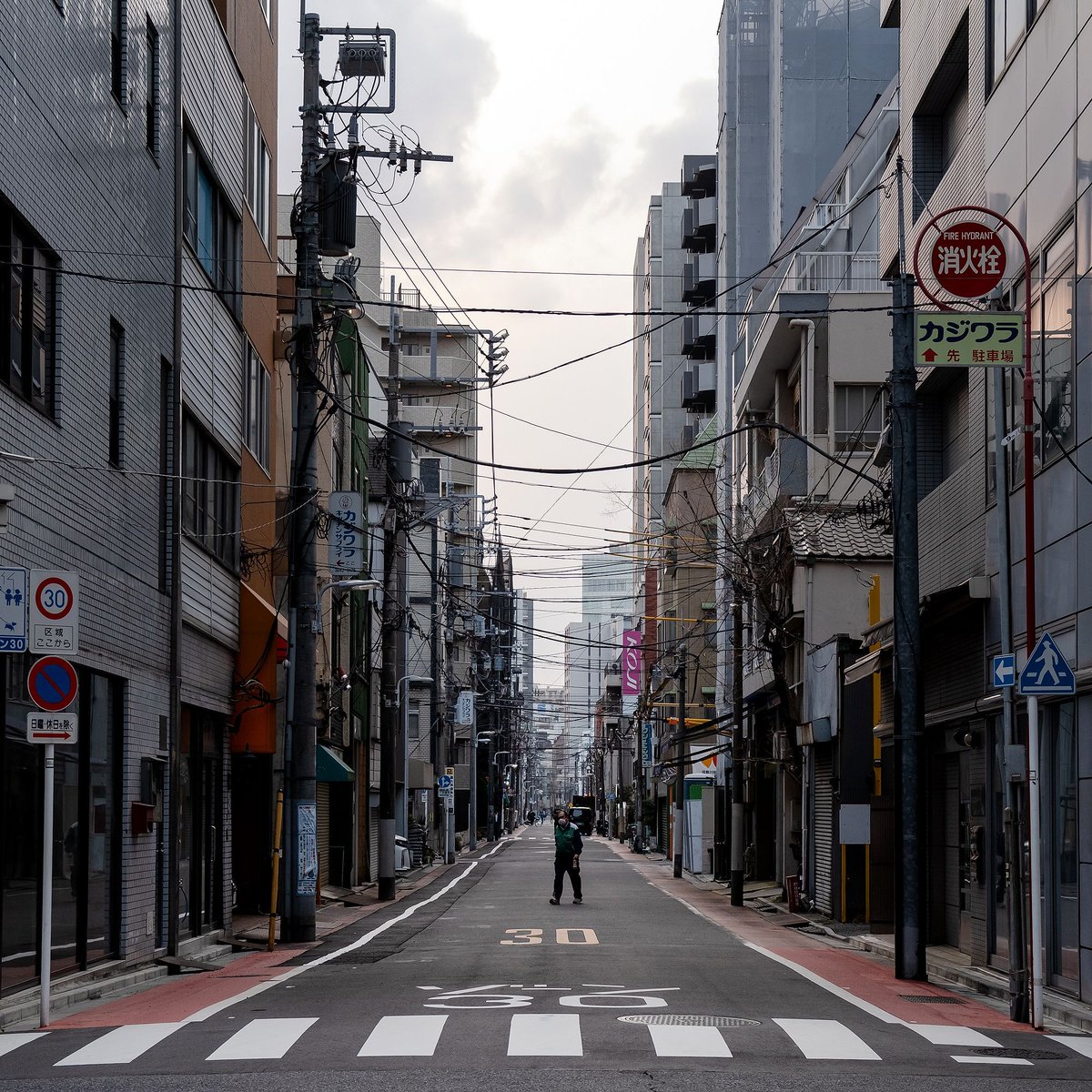 Lewis Bush tweet media