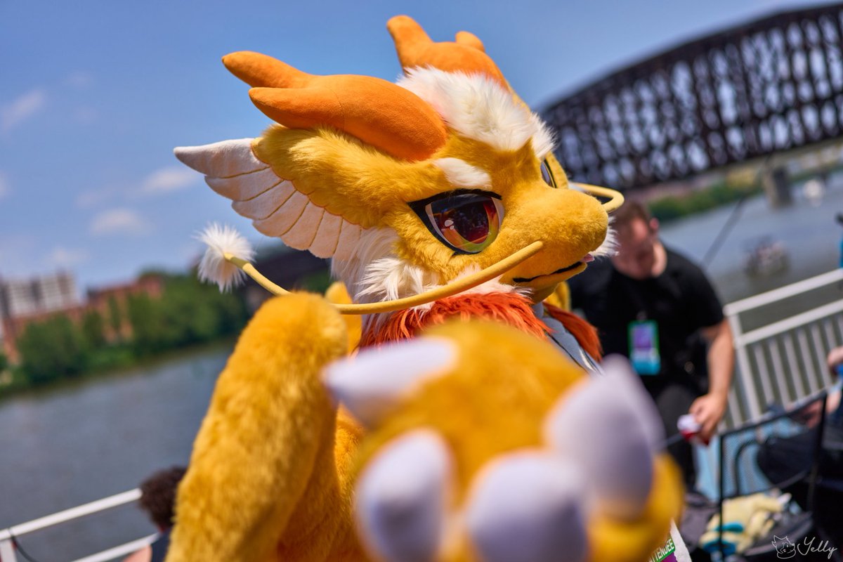 #顔だけで何リポスト来るか
📷:<a href="/yellyXP/">YellyXP🔜FD, MP, AFC</a>