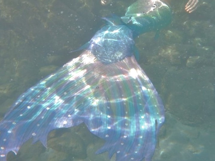 dreamyyarchive's tweet image. 