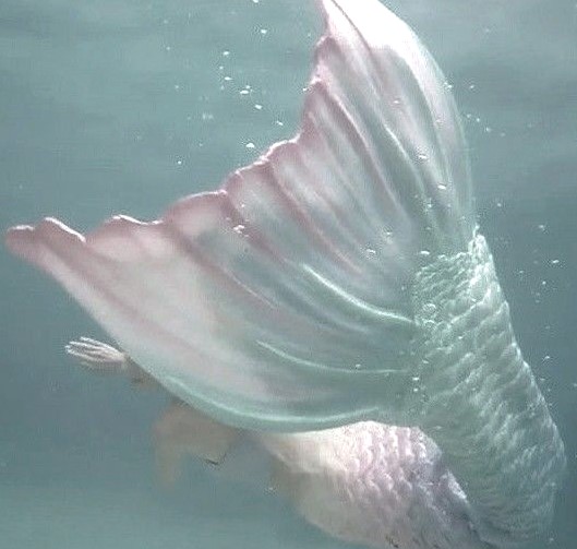 dreamyyarchive's tweet image. 