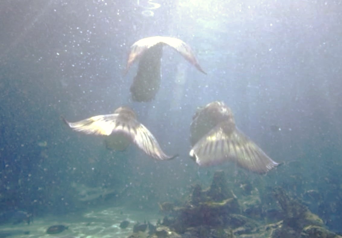 dreamyyarchive's tweet image. 