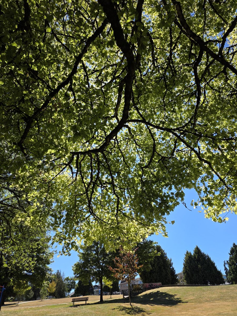 なっつん tweet media