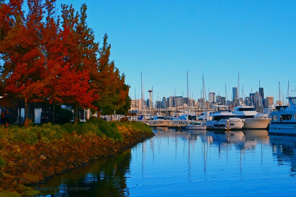 The trees are already changing colors ♡
#seattlemarina