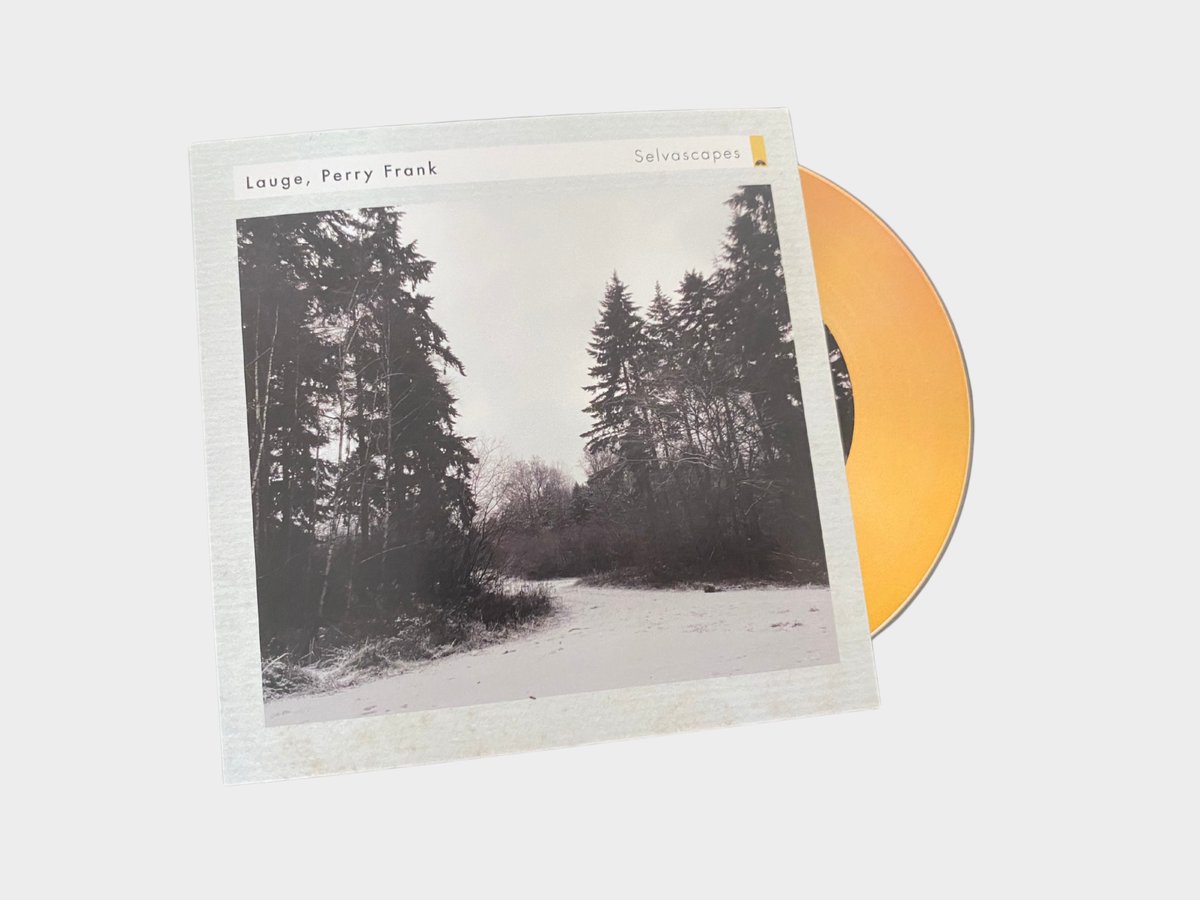 Lauge | Ambient Soundscapes tweet media