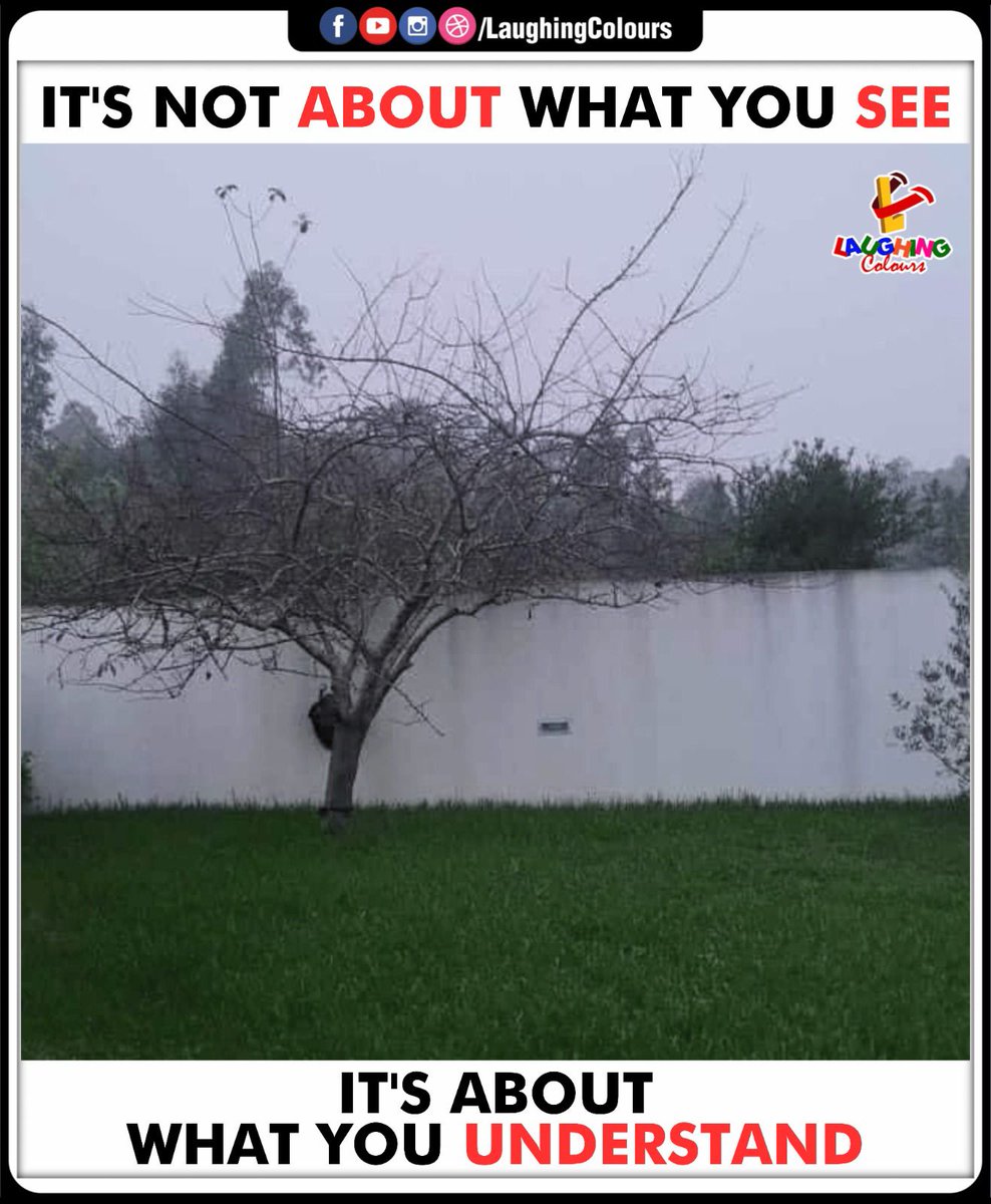 LaughingColours's tweet image. Perspective Changes Everything 🌿👀

#LifeLesson #Perspective #DeepThoughts #Understanding #Wisdom