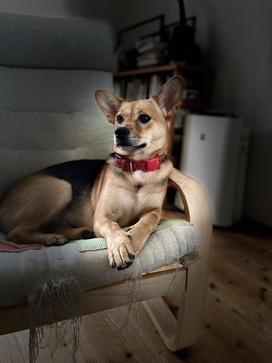 日本の将来はどうなるのかしら……