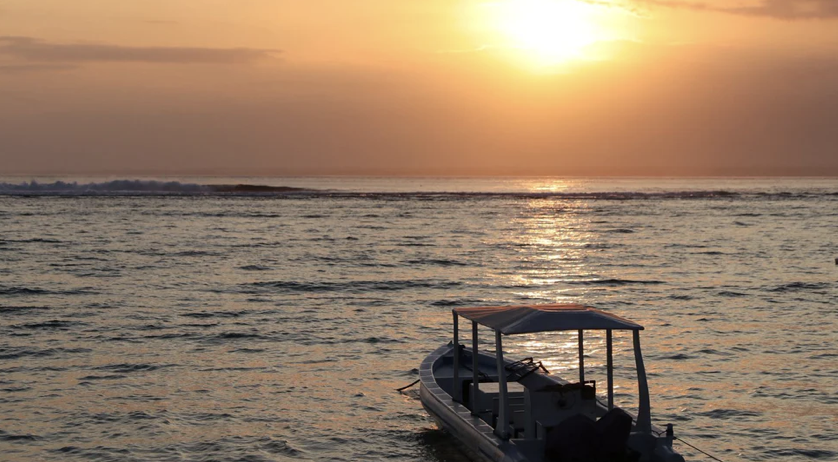 Oceanfreedomco's tweet photo. Your Sunscreen Should Be Reef-Safe. Here's Why.
Chemical sunscreens threaten marine ecosystems—coral bleaching, fish harm, reef degradation. Choose mineral-based SPF with non-nano zinc oxide instead. 🐠🌊
Read more: https://t.co/CpJ84gBYlV
#ReefSafe #OceanFreedomBlog https://t.co/cHsxsrGIWt