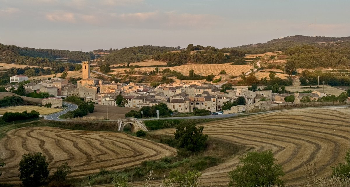 tribusdelasegarra.cat/2025/08/13/bon…
Bon dia
Conesa
Baixa Segarra
#segarrejant #goodmorning #Catalonia #magradaelmeupaís <a href="/finslagorra_1/">finslagorra ||*|| SÍ</a> <a href="/jolival65/">JOliva||*||</a> <a href="/montserumbau/">montserrat rumbau</a> @martapontnou <a href="/salvad_m/">RosamSal ||⭐|| 🏴󠁧󠁢󠁥󠁮󠁧󠁿#Jo soc CDR# *CxR*</a> <a href="/jordicodol/">Jordi Còdol Montagut</a> <a href="/betaltarriba/">Bet Altarriba</a> <a href="/mccorominas/">Carme Corominas</a> @xatoQuico <a href="/Ifarre2/">Imma</a> <a href="/CanelaBalsebre/">rosa canela</a> <a href="/mnadal13/">Marta Nadal</a>