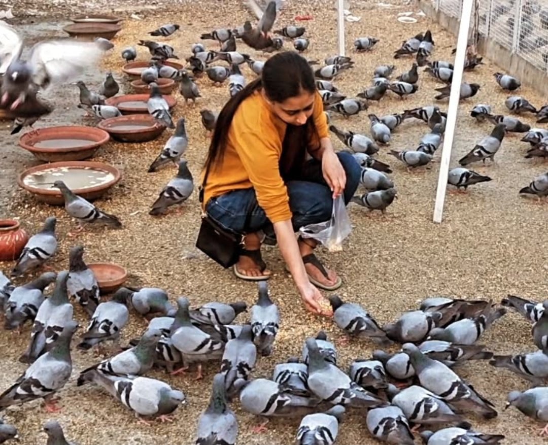 iprachi_singh's tweet image. Galliyon ke rakhwale 🐶
Aasman ke musafir 🕊️
Unka kasoor sirf itna hai — insaan nahi hain,
Par insaaniyat tumse zyada hai.

#LiveAndLetLive #StrayDogsMatter #PigeonsMatter #HumanityFirst
#Parvaahkaro