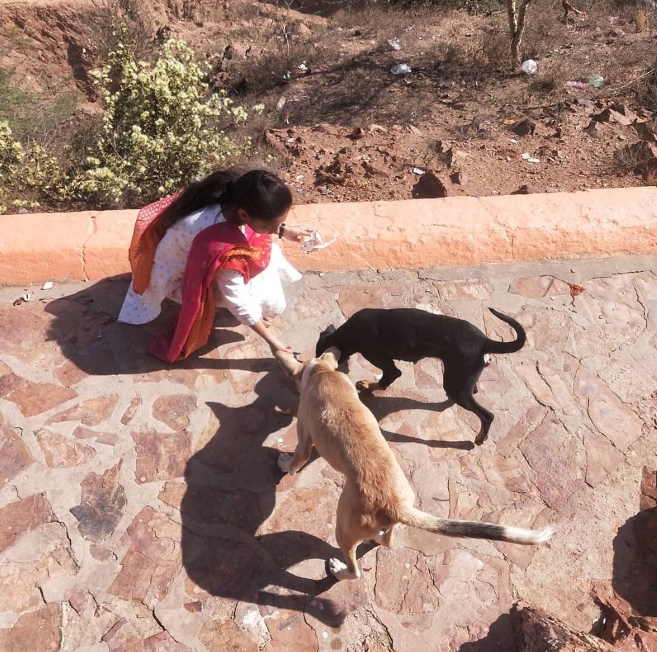 iprachi_singh's tweet image. Galliyon ke rakhwale 🐶
Aasman ke musafir 🕊️
Unka kasoor sirf itna hai — insaan nahi hain,
Par insaaniyat tumse zyada hai.

#LiveAndLetLive #StrayDogsMatter #PigeonsMatter #HumanityFirst
#Parvaahkaro