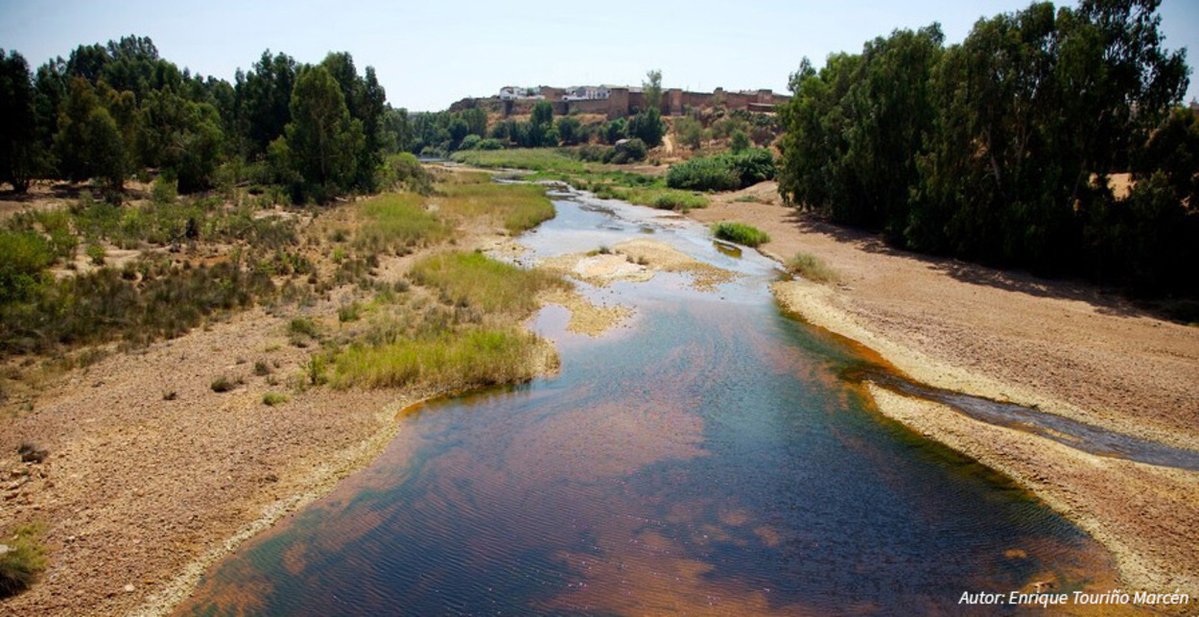 REDIAM (@rediam_oficial) on Twitter photo Conoce los instrumentos de planificación de los recursos naturales que marcan las directrices básicas del manejo de los #EspaciosNaturales 🌳
ℹ Accede a toda la información en el Portal Ambiental de #Andalucía 👉 lajunta.es/49ws6 <a href="/MedioAmbAND/">Consejería de Sostenibilidad y Medio Ambiente</a> <a href="/VentanaVAND/">Ventana Visitante</a> Conoce los instrumentos de planificación de los recursos naturales que marcan las directrices básicas del manejo de los #EspaciosNaturales 🌳
ℹ Accede a toda la información en el Portal Ambiental de #Andalucía 👉 lajunta.es/49ws6 <a href="/MedioAmbAND/">Consejería de Sostenibilidad y Medio Ambiente</a> <a href="/VentanaVAND/">Ventana Visitante</a>