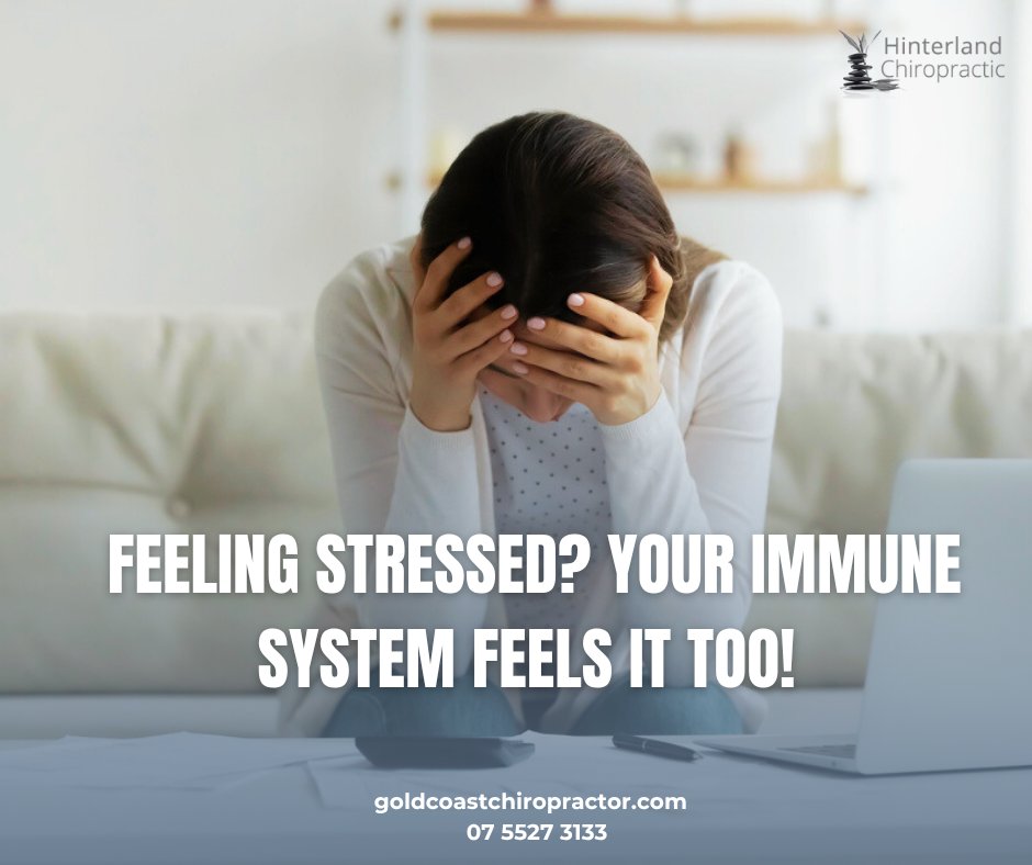 Don’t let stress run the show. Support your health from the inside out — we’re here to help.
📞 Book an appointment today and give your immune system the boost it deserves!
Call: 07 5527 3133
goldcoastchiropractor.com
#StrongerImmunity #ChiropractorGoldCoast #ChiropracticGoldCoast