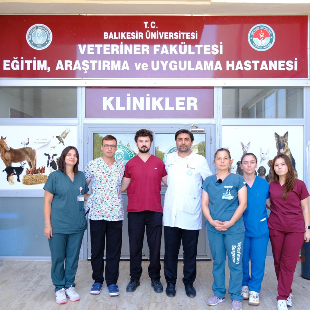 Balıkesir’in Sındırgı ilçesinde meydana gelen depremde yaralanan Barak Av Köpeği “Ateş”, Balıkesir Üniversitesi (BAÜN) Veteriner Fakültesi Hayvan Hastanesinde tedavi edildi.

balikesir.edu.tr/haberler/depre…