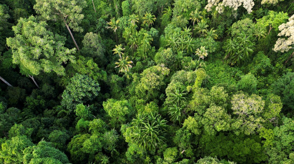 bibliothequeBSI's tweet image. #biodiversité #environnement🎞️ Une vidéo du @leblob_ sur Vincent Munier l'éternel émerveillé.
Retrouvez des livres de cet auteur à la #bibliothèque de la @citedesciences
➡️ leblob.fr/videos/vincent…