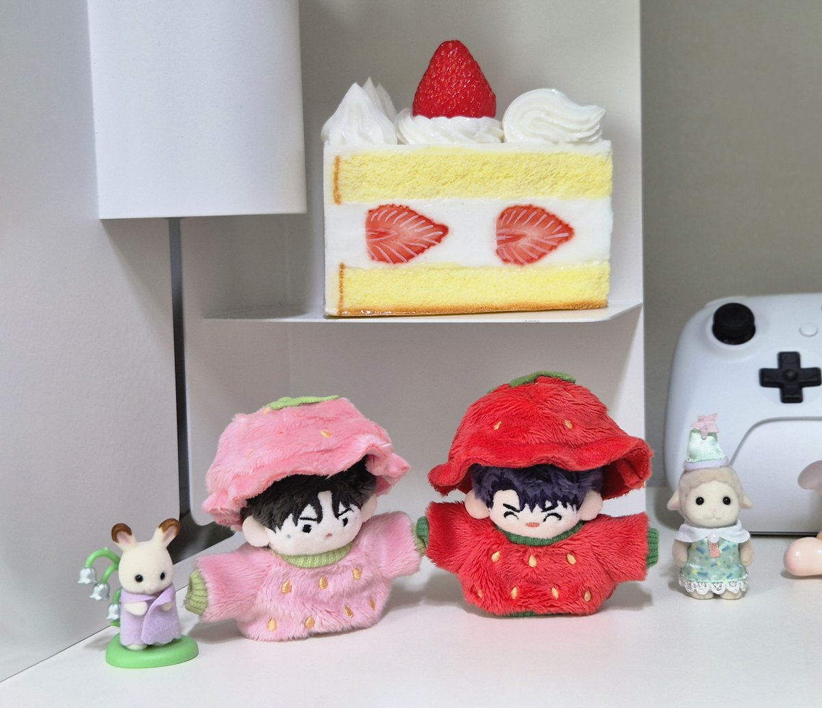 ˚✧₊⁎ 𝒕𝒐𝒓 ⁎⁺˳✧˚ tweet media