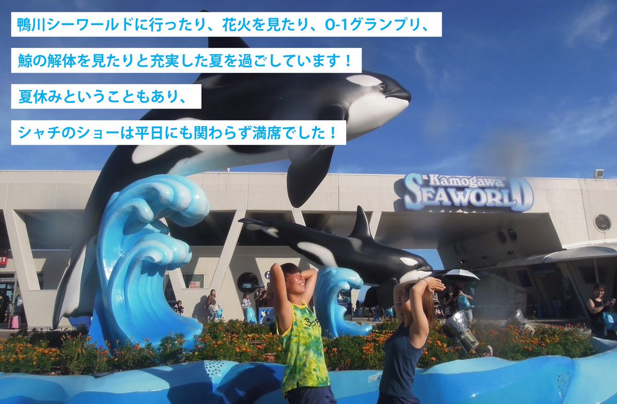 📝#オルカブログ を更新しました

今回の選手ブログは #齊藤綾音 選手
✅『鴨川の夏！🐳🤍✨』

今年の夏、
皆さんいかがお過ごしですか？？

今回の綾音選手も
夏を楽しんでいる様子🤭🎐

何をしたのかは
ブログでチェック📸

全文➡️orcakamogawafc.blog.jp/archives/89891…

#オルカ鴨川FC
#なでしこリーグ