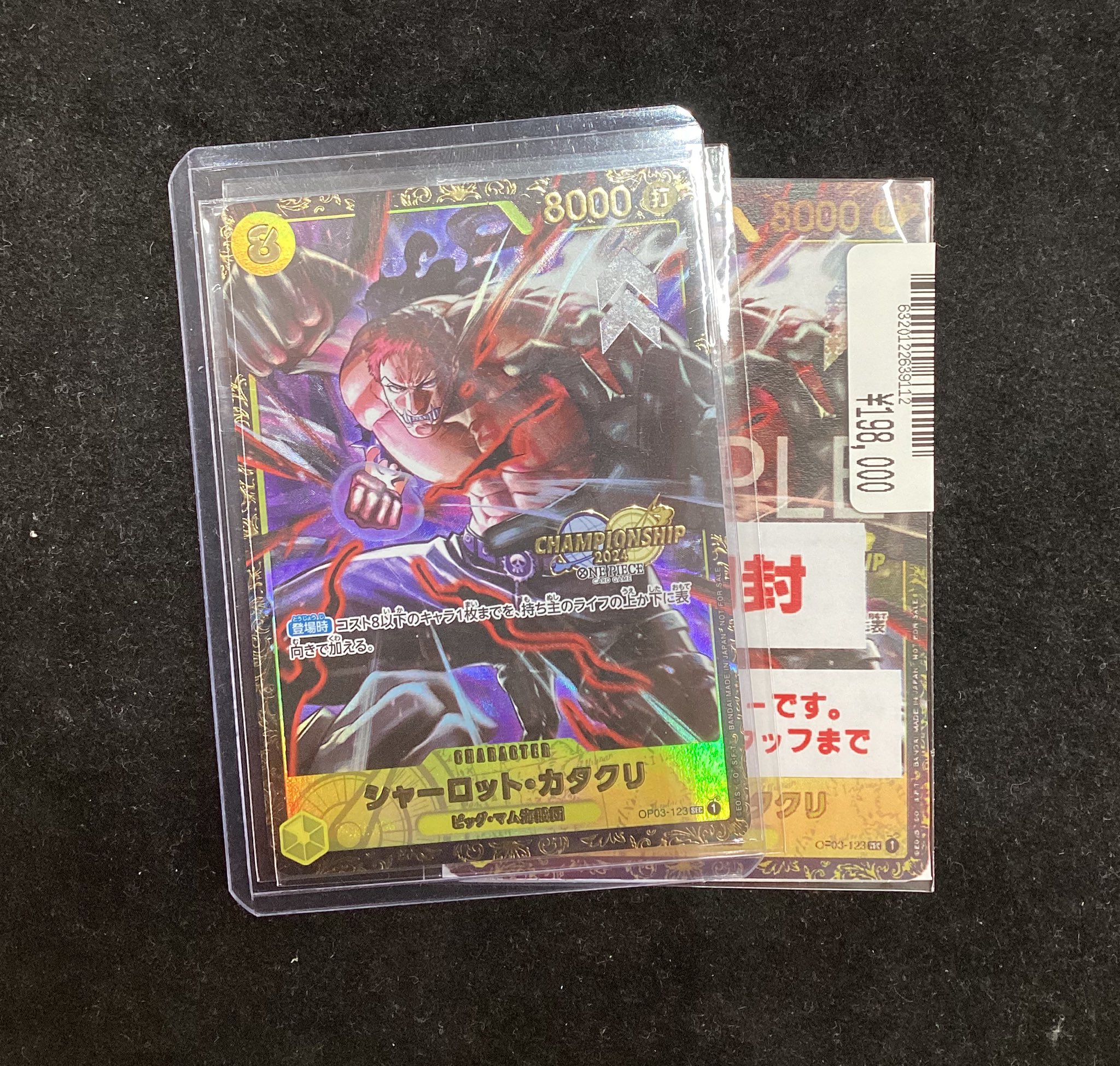 シャーロット・カタクリ：チャンピオンシップ2024 WAVE1 エリア大会 ベ… シャーロット・カタクリ：チャンピオンシップ2024 WAVE1 エリア大会 ベ…