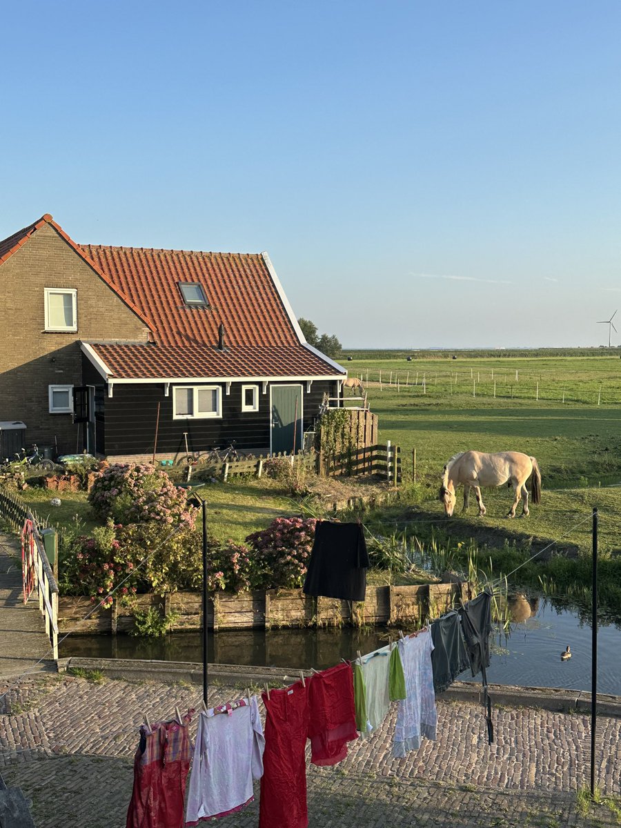 alyonitaa's tweet photo. Gm from Netherlands, don’t forget to touch the grass fam 🌱 https://t.co/BpeqwTll35